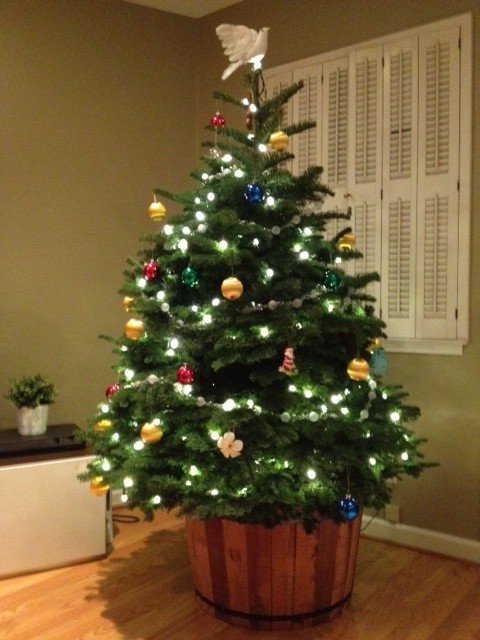 The christmas tree is up!