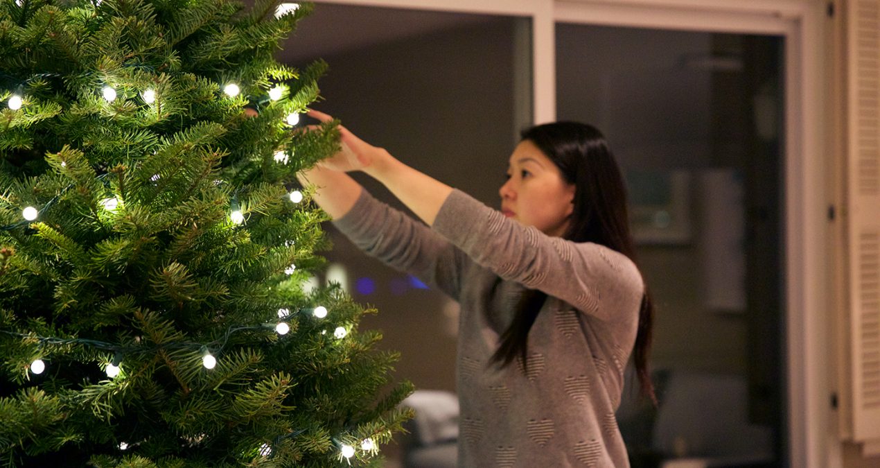 It’s beginning to look a lot like Xmas!