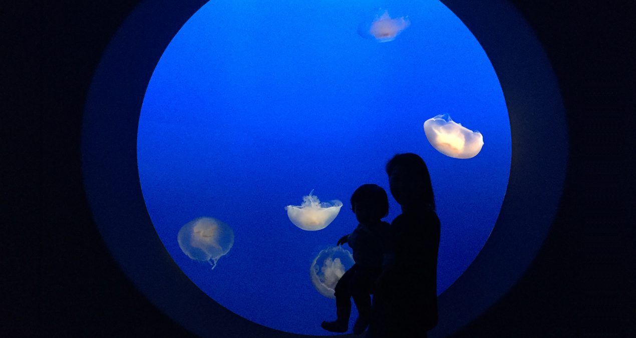 Monterey Bay getaway! (pt2)