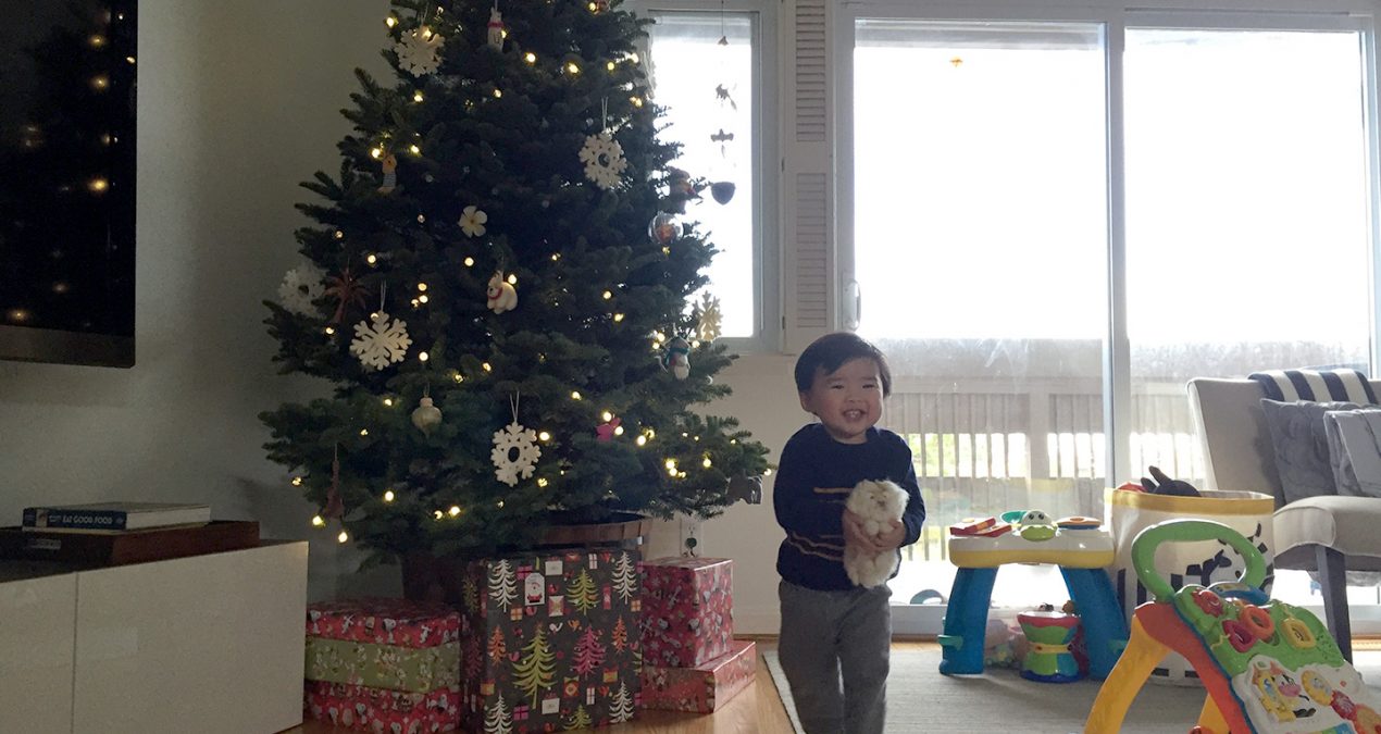 Decorating the tree!