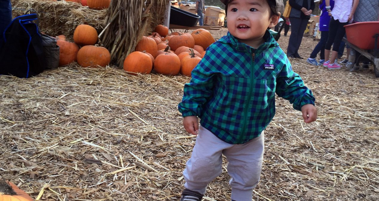 Pumpkin’ patchin’