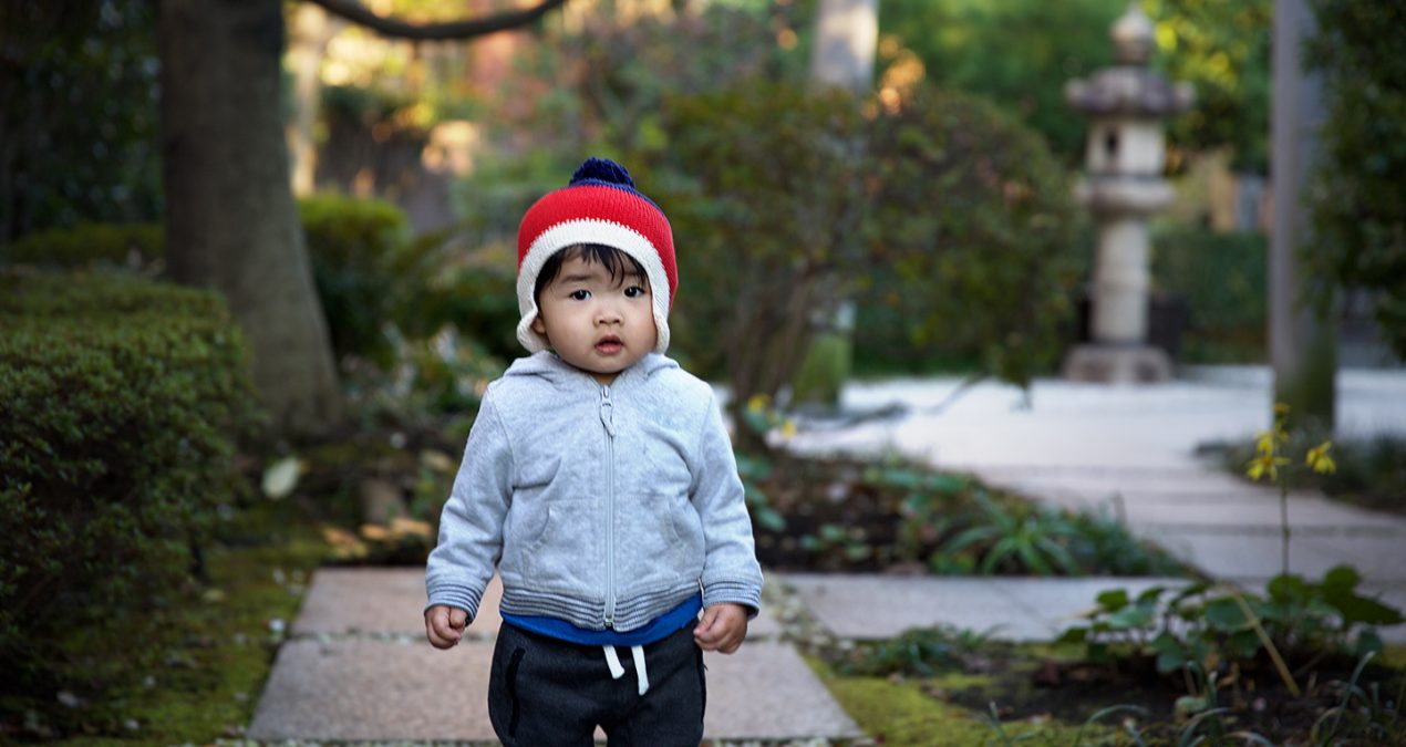 Japan 2016 highlights!