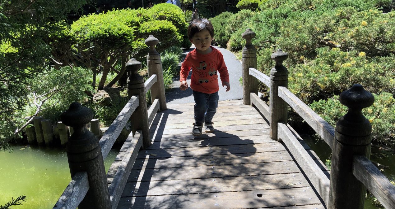 Exploring Central Park in San Mateo