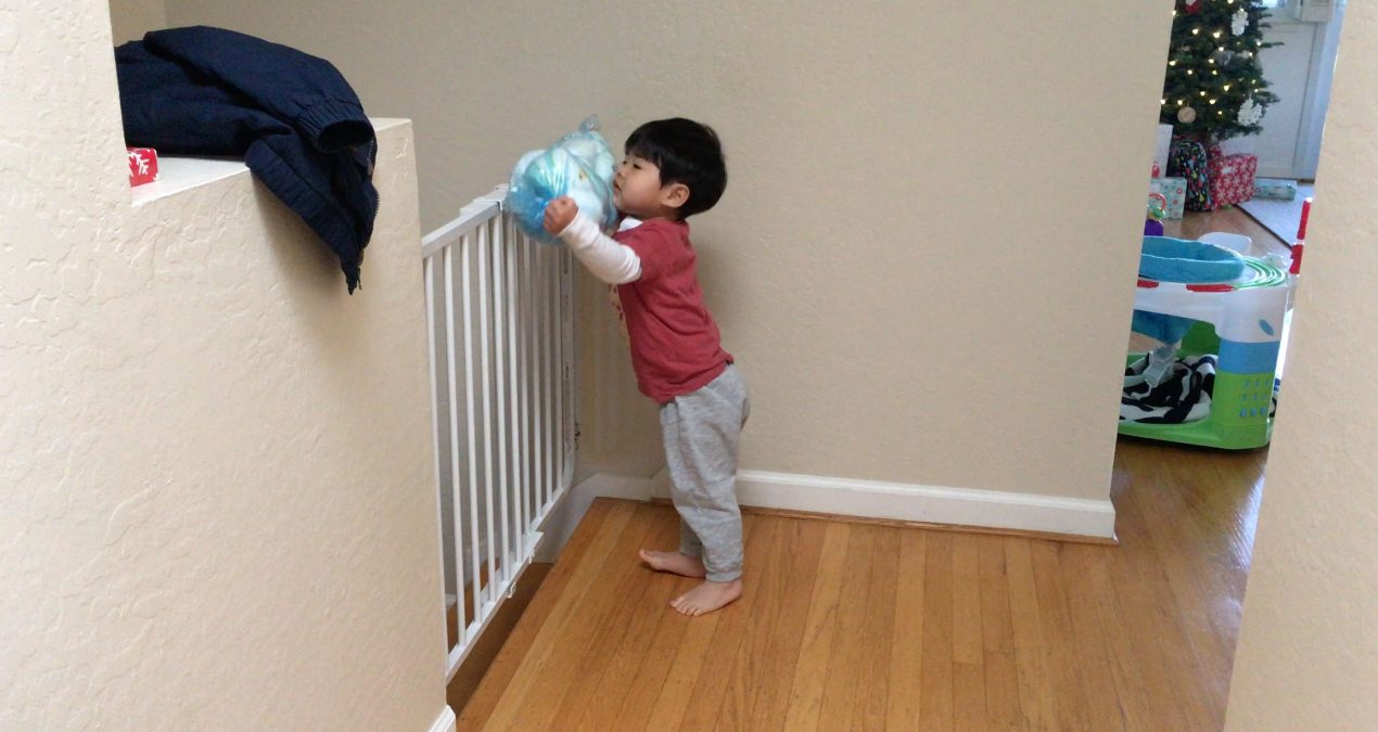 Our favorite trash helper!